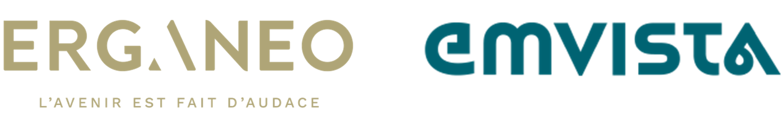Logo Emvista Erganeo