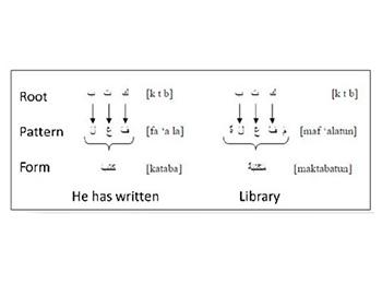 Morphology of words in Arabic