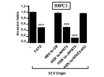 EXOSOME BASED THERAPY IN ADVANCED PANCREATIC CANCER