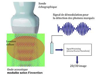 RECONSTRUCTION OF MONO AND BI-DIMENSIONAL IMAGES IN FOURIER-TRANSFORM ACOUSTO-OPTIC IMAGING