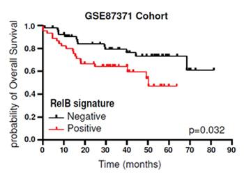 RELB AS A NOVEL PROGNOSTIC BIOMARKER FOR DIFFUSE LARGE B-CELL LYMPHOMA (DLBCL)
