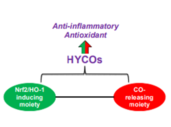 HYCOs exert a dual biological activity by activating Nrf2/HO-1 and simultaneously releasing CO in vitro and in vivo