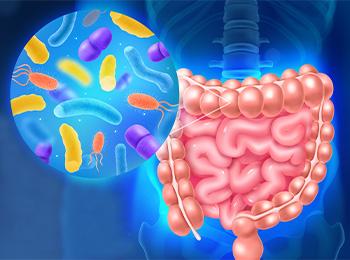 Microbiote intestin