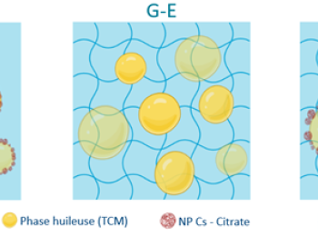 FORMULATION COLLYRE À BASE D’UNE ÉMULSION DE PICKERING