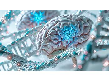 CIBLAGE DES ENZYMES DE RÉPARATION DE L’ADN POUR LES GLIOMES